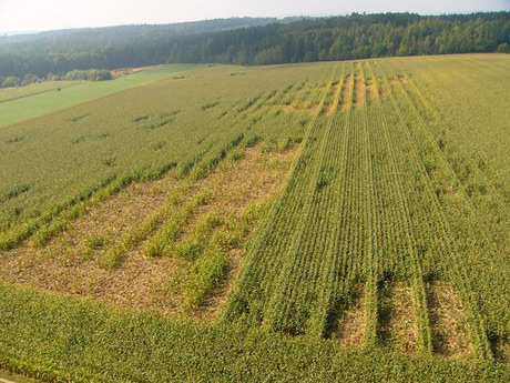 Aufnahmen von München und Umgebung Aufnahmen von München und Umgebung