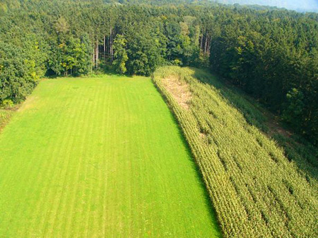 Wildschaden Regulierung Wildschaden Regulierung